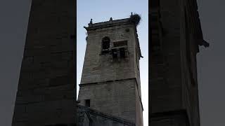 Campanas de Montehermoso