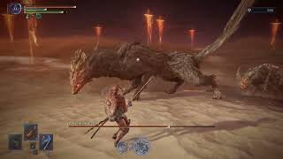 Gladius Solo Deflection Executor [ELDEN RING NIGHTREIGN]