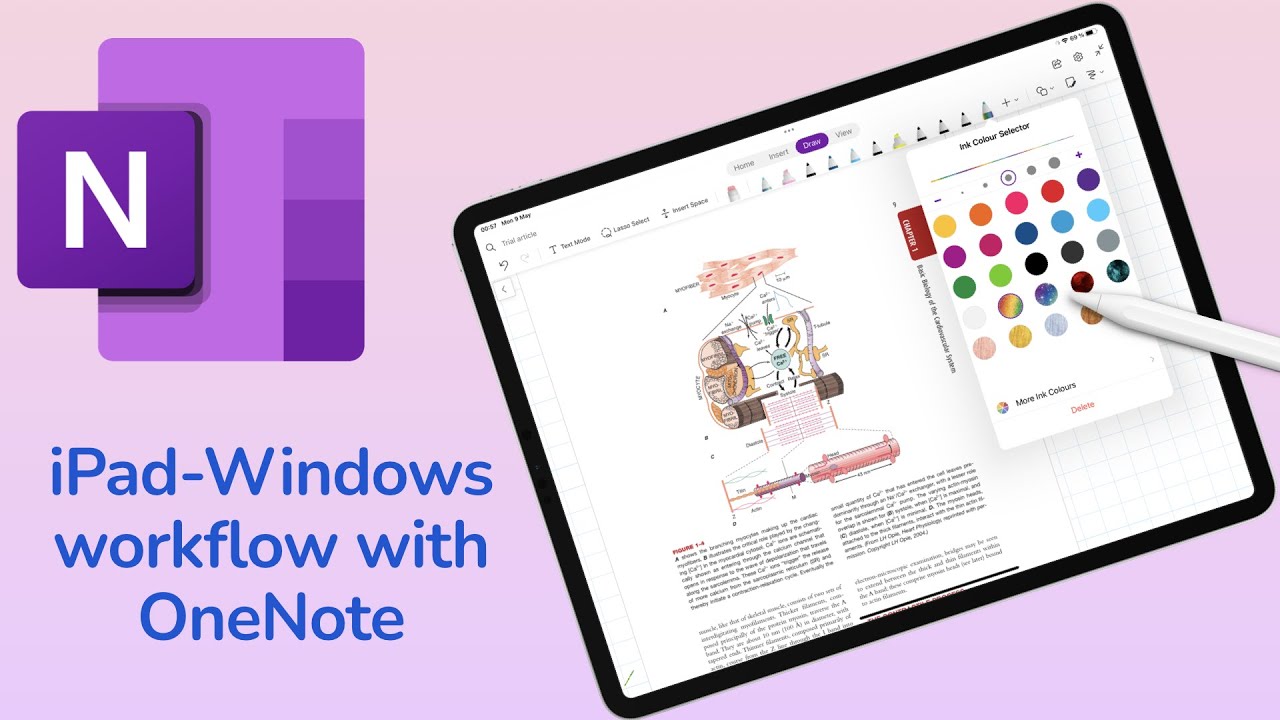 onenote app interface