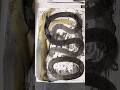Arte Con Efecto Tinta y Oro En Papel #paper #arteabstracto #abstractart #art #experiment