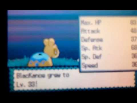 Shiny Numel Evolves! - YouTube