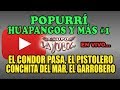 POPURRÍ HUAPANGOS   Cóndor Pasa, El Pistolero, Conchita Del Mar, El Garrobero | Grupo La Julia