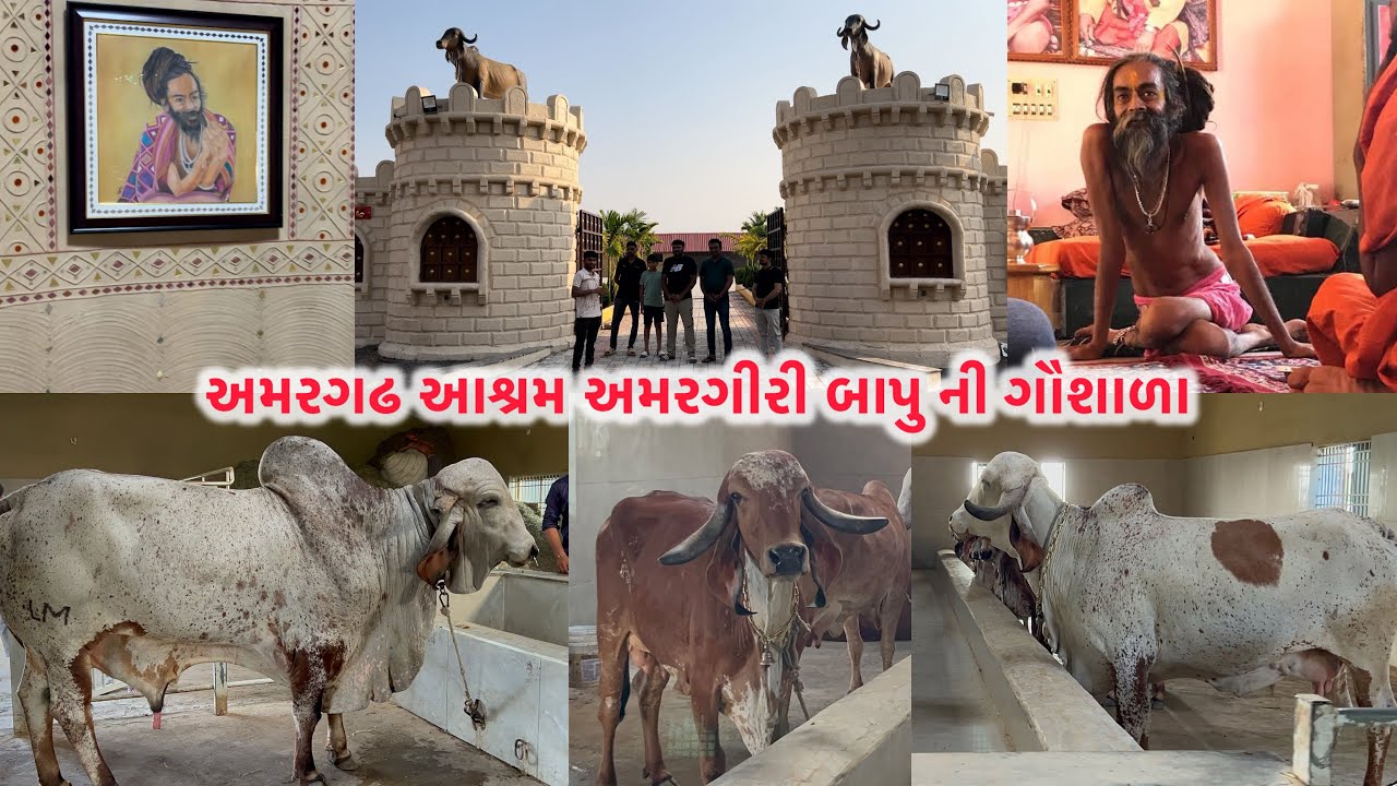 અમરગીરીબાપુ નો અમરગઢ આશ્રમ અને ગીર ગૌશાળા જોઈ ને મજા આવી ગઈ