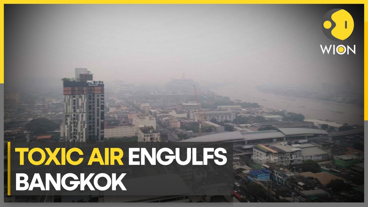 Bangkok is choking on air pollution  | WION Climate Tracker
