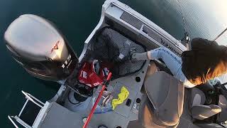 Monster Lake Trout | Big Fish Rescue