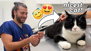 IS THIS CAT REAL?  ( The Nicest Cat Ever )