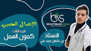 الإتصال العصبي : الجزء الثالث ( كمون العمل )