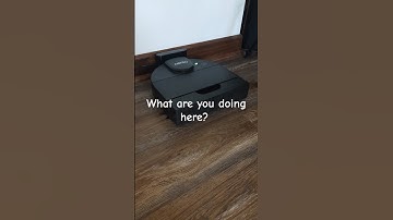 Neato d9 and Roomba 694 have a conversation