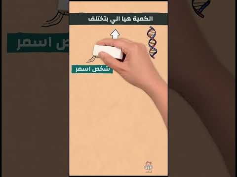 كل ما تحتاج معرفته عن الميلانين السر وراء ألوان البشرة والشعر