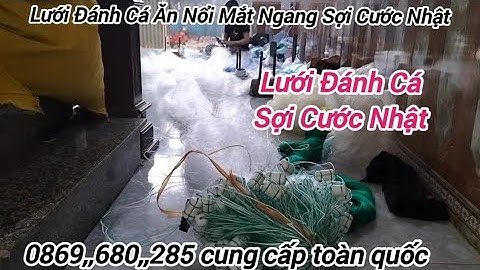Lưới Đánh Cá Đánh Nổi Mắt mở 16 Phân Sợi Cước Nhật - Lưới đánh cá 3 màn Đánh cá nước sâu cá lớn