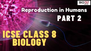 Reproduction in Humans | Part 2 | ICSE Class 8 Biology screenshot 4