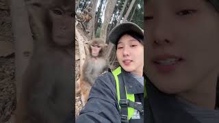 #monkeylove #animallovers #naturelovers #wildlifeconservation #petmonkey #shorts #viralvideos