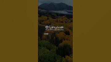 لا تجعل مع الله إلها آخر فتقعد مذموما مخذولا سورة الإسراء ايه ٢٢ اسلام صبحي