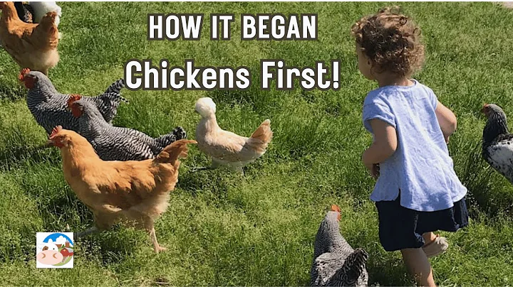 The Beginning of Our Homestead | Starting with Chickens (Part One)