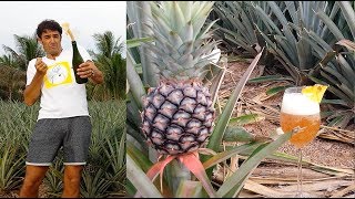 Pineapple Wine how to make at home - homemade Champagne style