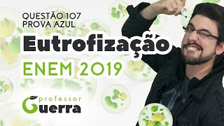 Resumo de eutrofização: estude para o ENEM