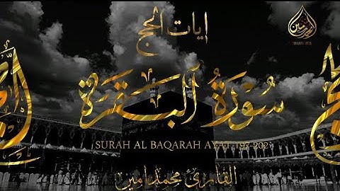 Ayatul Hajj - Surah Al Baqarah (197-202) - تلاوة من سورة البقرة - (آيات الحج)- القارئ محمدامين ❤️🎧🤍🥰