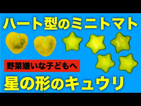野菜嫌いな子どもへ ハート型ミニトマトと星型きゅうりの作り方 Youtube