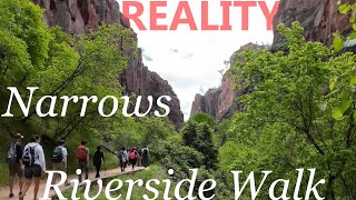 Overcrowded? Zion's Narrows Riverside Walk: The Reality (POV Hike Experience)