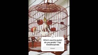 Ah Gao Mata Puteh ( credit to John Wu)