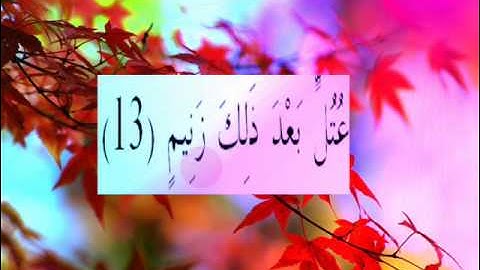 القران الكريم سورة القلم الأية  13.wmv