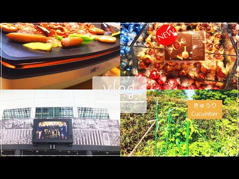 【vlog 社会人】#2 TWICEの東京ドームライブ🎤｜阿見アウトレット🍭｜AladdinのBBQコンロ試し🥩｜畑の様子＆野菜の成長🥬