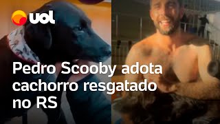 Pedro Scooby adota cachorro resgatado no Rio Grande do Sul e segue viagem para o Rio de Janeiro