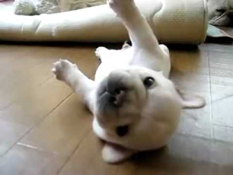 腿太短翻不過來.wmv