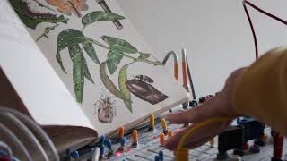 Modular study no.16 - tav.XVIII-XIX (parte prima) - Montecatini series