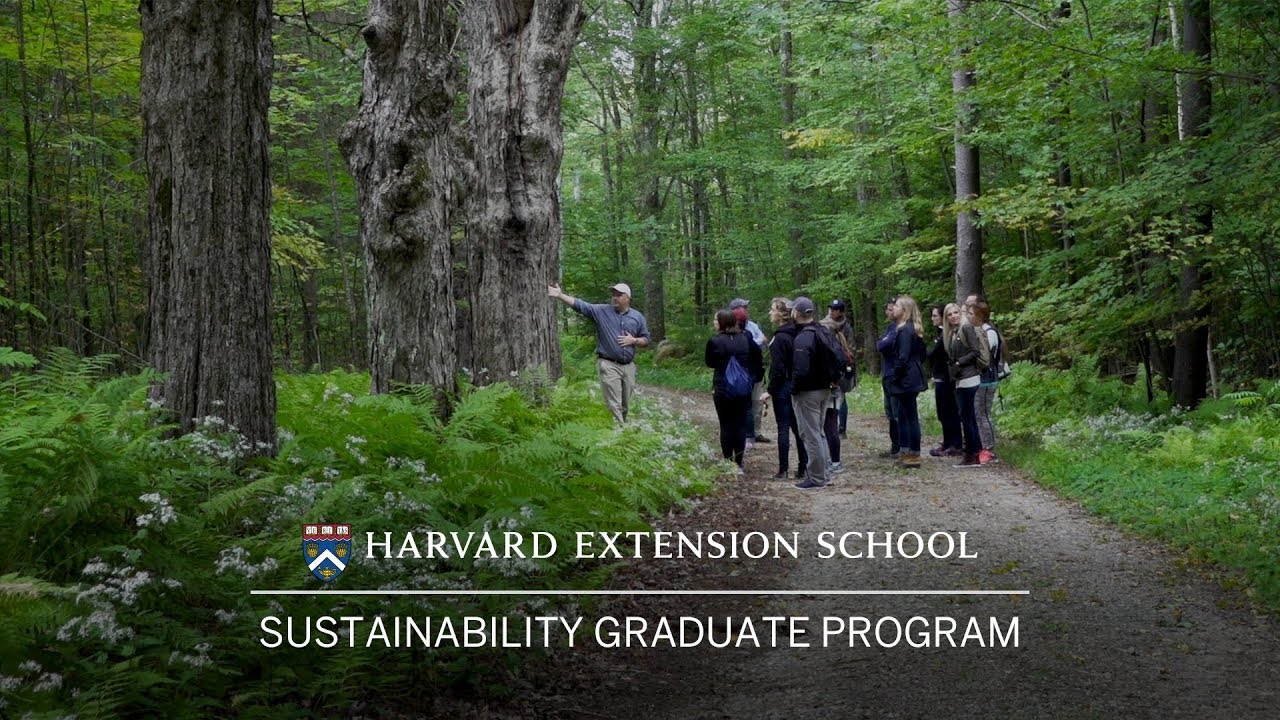 Sustainability Graduate Program at Harvard Extension School YouTube
