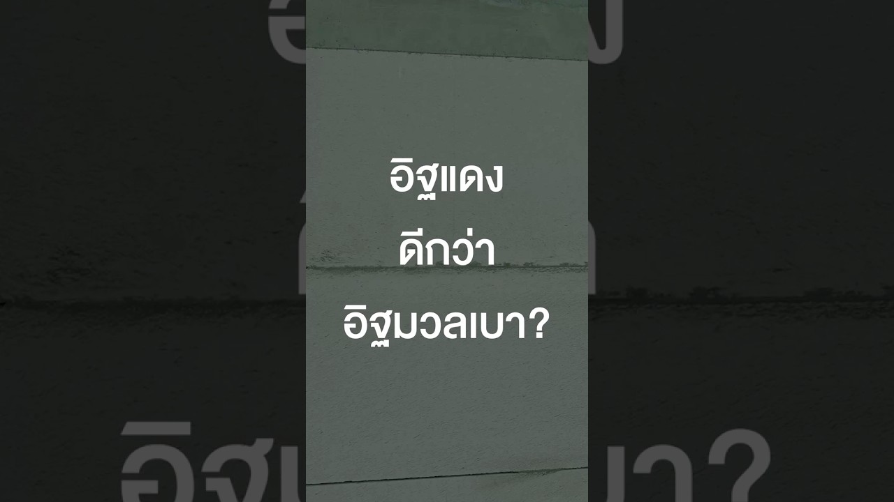 อิฐแดงดีกว่าอิฐมวลเบา? #เสือร้องไห้ #TigerShorts #Shorts #สร้างบ้าน #บ้านจัดสรร