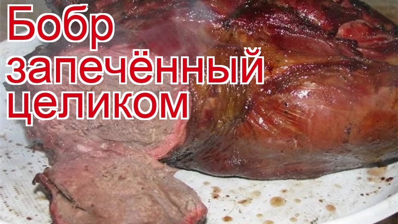 Рецепты из тушки бобра - как приготовить бобра пошаговый рецепт - Бобр ...
