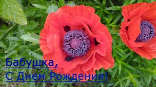 Поздравление Бабушки с Днем Рождения. Видео открытка, видео букет.