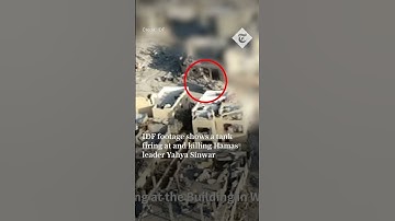 IDF releases footage of tank firing at  Hamas Leader Yahya Sinwar