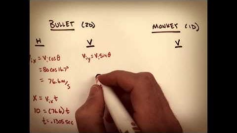 The Monkey Hunter Physics Problem