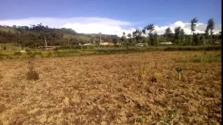 Video of 1 acre land for sale in Naivasha ihindu , 250m from Nakuru Nairobi highway