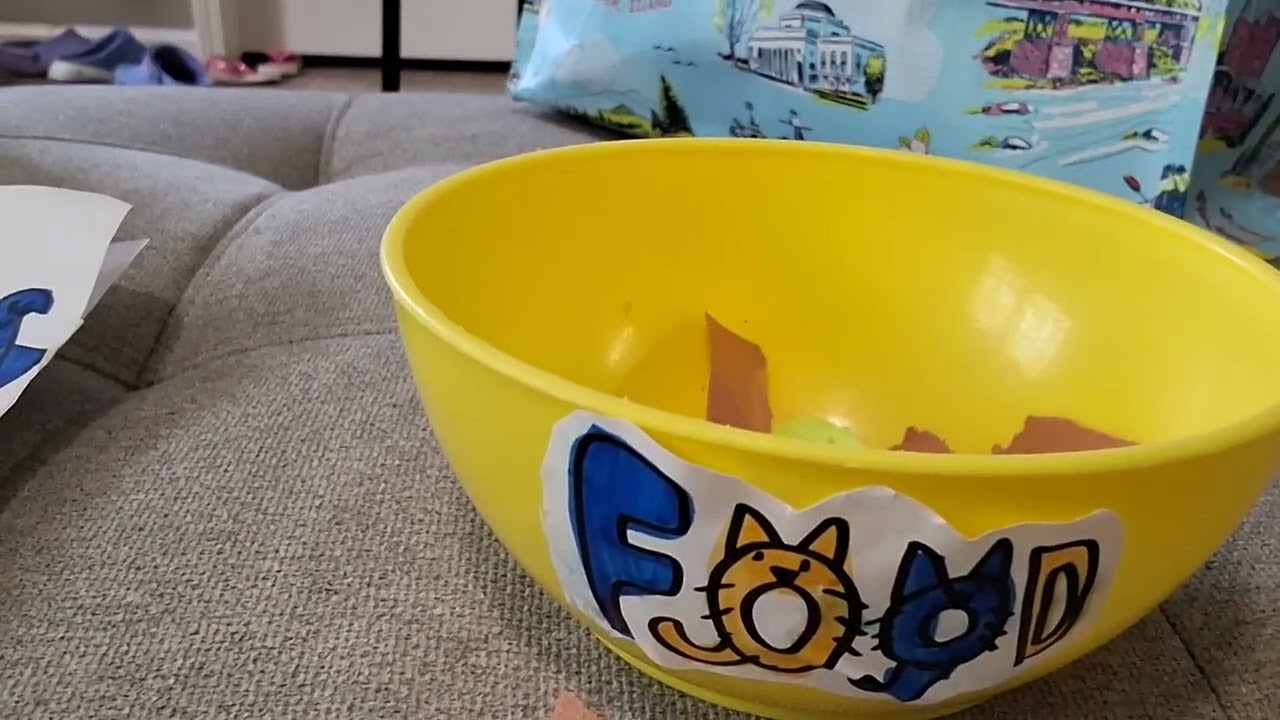 Feeding my cat(first toy video on this channel)🐈🐾🐟🥗🍚😋