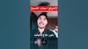 هل تعرف فوائد الشيح دكريم على فكر تانى الشيح 