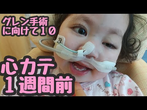 【合掌ぱちぱち♪】グレン手術に向けて１０ (来週心カテ・・・)