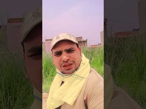 lagata supar laokata