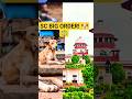 Stray Dogs নিয়ে SC-এর বড় রায়! 🐶⚖️ | Supreme Court Order | GK Shorts