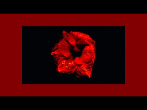 Putar Tipping Point - Propaganda
