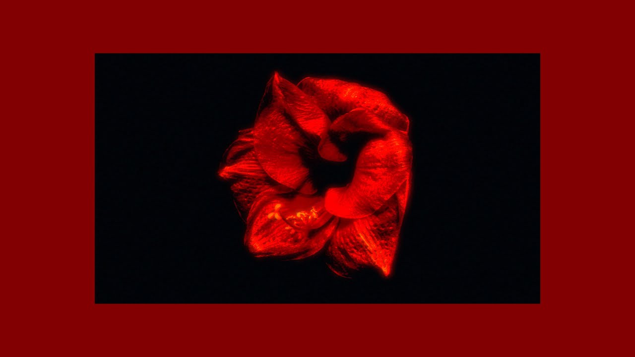 Propaganda - Tipping Point