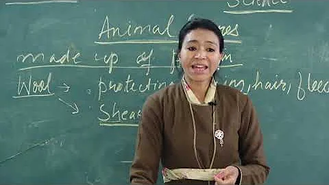 Class 6th Science (Fibre to Fabric)Part-2