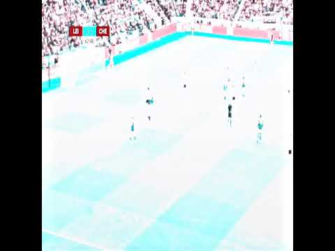 تصدي ميندي العالمي