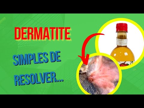 DERMATITE E FERIDAS NA PELE DO CACHORRO DICA FÁCIL PARA RESOLVER EM CASA