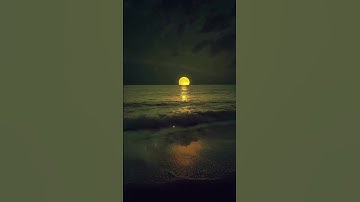 Solitude Is the Norm | Finding Strength in Being Alone 🌿✨ | Life in a Blink #healingscenery