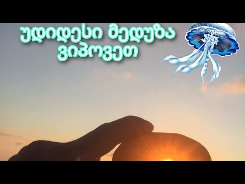 მოგზაურბა ბათუმში