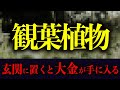 財産を築ける！〇〇の形の観葉植物を置いてください