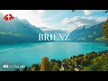 4K SWITZERLAND 🇨🇭 | BRIENZ | ZOO | LAKE | Бриенц Швейцария